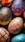 Decorated Easter Eggs #c282 Live Wallpaper for Samsung S25 in low quality