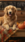 Dog on Pickup #0752 Life Wallpaper for Android 13, 14, 15 phones like Samsung Galaxy in low quality