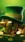 St Patrick Hat with Coins #c6c4 Life Wallpaper for Android 13, 14, 15 phones like OnePlus 13R in low quality