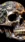 Steampunk Skull #b984 Live Wallpaper for Android 13, 14, 15 phones like Samsung Galaxy A16 in low quality