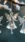 Elegant Glass Angels #8d12 Live Wallpaper for Samsung Galaxy in low quality