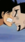 One Piece   #7e23 Live Wallpaper for Google Pixel in low quality