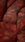 Red Leaves Live Wallpaper for Android 13, 14, 15 phones like Samsung S25 in low quality