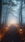 Spooky Forest Path Life Wallpaper for Android 13, 14, 15 phones like OnePlus 13R in low quality