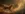 Autumn Fox #8892 Life Wallpaper for Android 13, 14, 15 phones like Oppo Reno 11 Pro in low quality