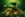 St Patrick Hat with Coins #c6c4 Life Wallpaper for Android 13, 14, 15 phones like OnePlus 13R in low quality