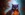Sassy Sapphire Owl Life Wallpaper for Android 13, 14, 15 phones like Oppo Reno 11 Pro in low quality