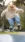 Cat on Skateboard #de52 Live Wallpaper for Xiaomi Redmi 14C in low quality