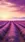 Purple Lavender Field #b2a2 Live Wallpaper for Samsung Galaxy in low quality