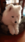 dog   #7768 Live Wallpaper for Android 13, 14, 15 phones like Google Pixel 9a in low quality