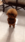 dog #68ff Live Wallpaper for Android 13, 14, 15 phones like Google Pixel in low quality