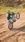 Dirtbike Freedom #8b02 Live Wallpaper for Android 13, 14, 15 phones like Samsung Galaxy A16 in low quality