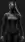 Ninja: The Shadow Queen Live Wallpaper for Android 13, 14, 15 phones like Samsung S25 in low quality