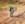Dirtbike Freedom #8b02 Life Wallpaper for Android 13, 14, 15 phones like Samsung Galaxy A55 in low quality