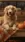 Dog on Pickup #0752 Live Wallpaper for Xiaomi Redmi 14C in low quality