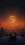 Jack-O-Lantern Life Wallpaper for Android 13, 14, 15 phones like Samsung Galaxy in low quality