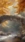 Autumn Forest Live Wallpaper for Android 13, 14, 15 phones like Google Pixel in low quality
