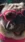 Adorable Pug Dog #4143 Live Wallpaper for Android 13, 14, 15 phones like Samsung S25 in low quality