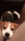 dog   #64c6 Live Wallpaper for Android 13, 14, 15 phones like Samsung Galaxy S24 Ultra in low quality