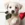 Cute Puppy with Rose #8532 Life Wallpaper for Android 13, 14, 15 phones like Oppo Reno 11 Pro in low quality