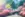 Tranquility at the π Pond Live Wallpaper for Android 13, 14, 15 phones like Xiaomi Redmi 14C in low quality