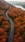 Autumn Road Trip #0932 Live Wallpaper for Samsung Galaxy A06 in low quality