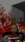Doom   #4b18 Live Wallpaper for Android 13, 14, 15 phones like Samsung Galaxy in low quality