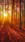 Sunlight Streams #b122 Live Wallpaper for Android 13, 14, 15 phones like OnePlus 13R in low quality