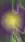 Jacob - Name Life Wallpaper for Android 13, 14, 15 phones like Google Pixel 9a in low quality