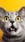 Surprised Cat #4ab3 Live Wallpaper for Samsung S25 in low quality