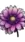 Cute Flower #4144 Live Wallpaper for Oppo Reno 11 Pro in low quality