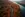 Autumn Road Trip #0932 Life Wallpaper for Android 13, 14, 15 phones like Xiaomi Redmi 14C in low quality
