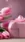 Gift Box Pink Tulips #f705 Live Wallpaper for Android 13, 14, 15 phones like OnePlus 13R in low quality