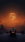 Jack-O-Lantern Life Wallpaper for Android 13, 14, 15 phones like Samsung Galaxy A16 in low quality
