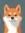 Smiling Shiba #ded3 Life Wallpaper for Android 13, 14, 15 phones like Samsung Galaxy A06 in low quality