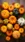 Colorful Pumpkins #0fe3 Live Wallpaper for Google Pixel 9a in low quality