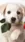 Cute Puppy with Rose #8532 Life Wallpaper for Android 13, 14, 15 phones like OnePlus 13R in low quality