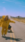 Billie Eilish   #0102 Live Wallpaper for Oppo Reno 11 Pro in low quality