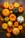 Colorful Pumpkins #0fe3 Life Wallpaper for Android 13, 14, 15 phones like Xiaomi Redmi Note 13 Pro in low quality